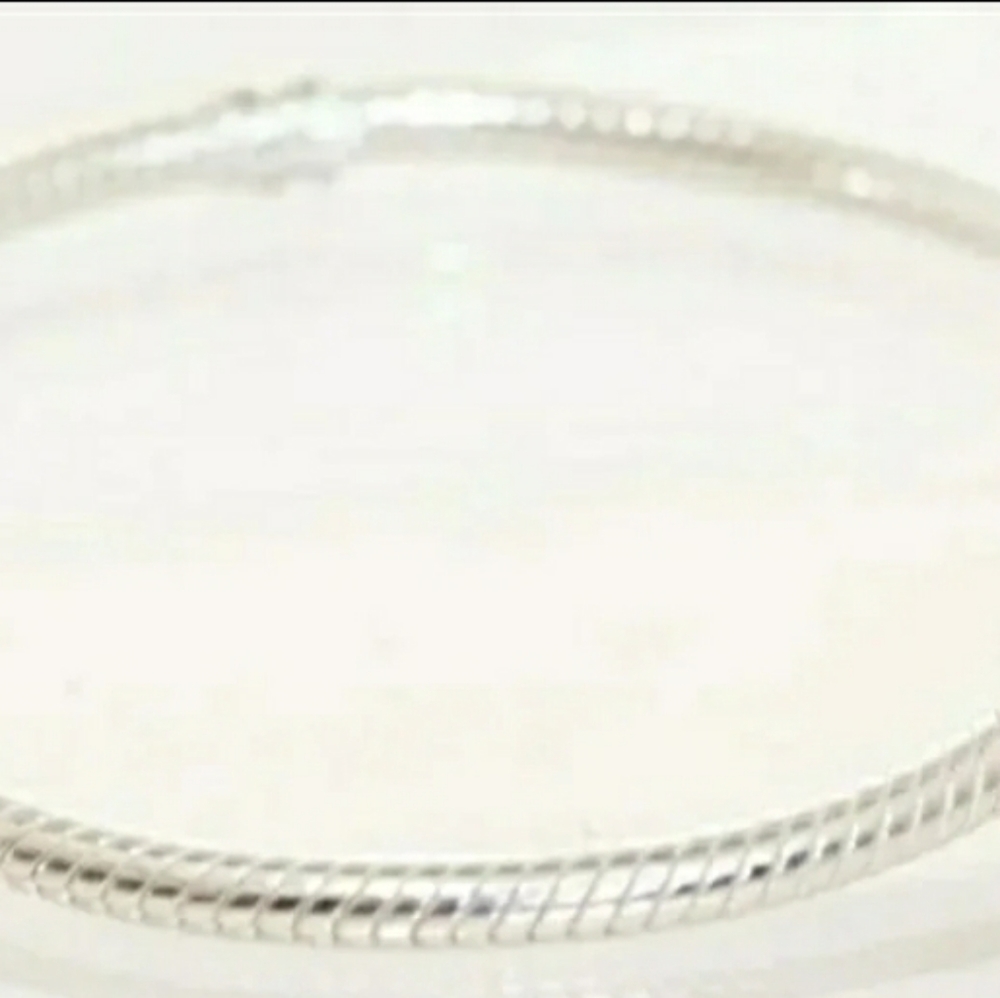 Pandora - Picture 5 of 6